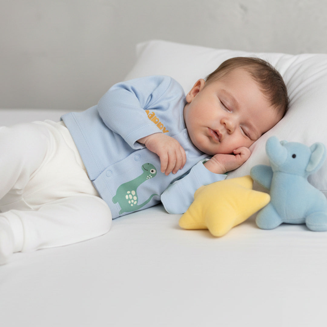 Set of 3 Jhablas - Bear Print (Green & Blue)