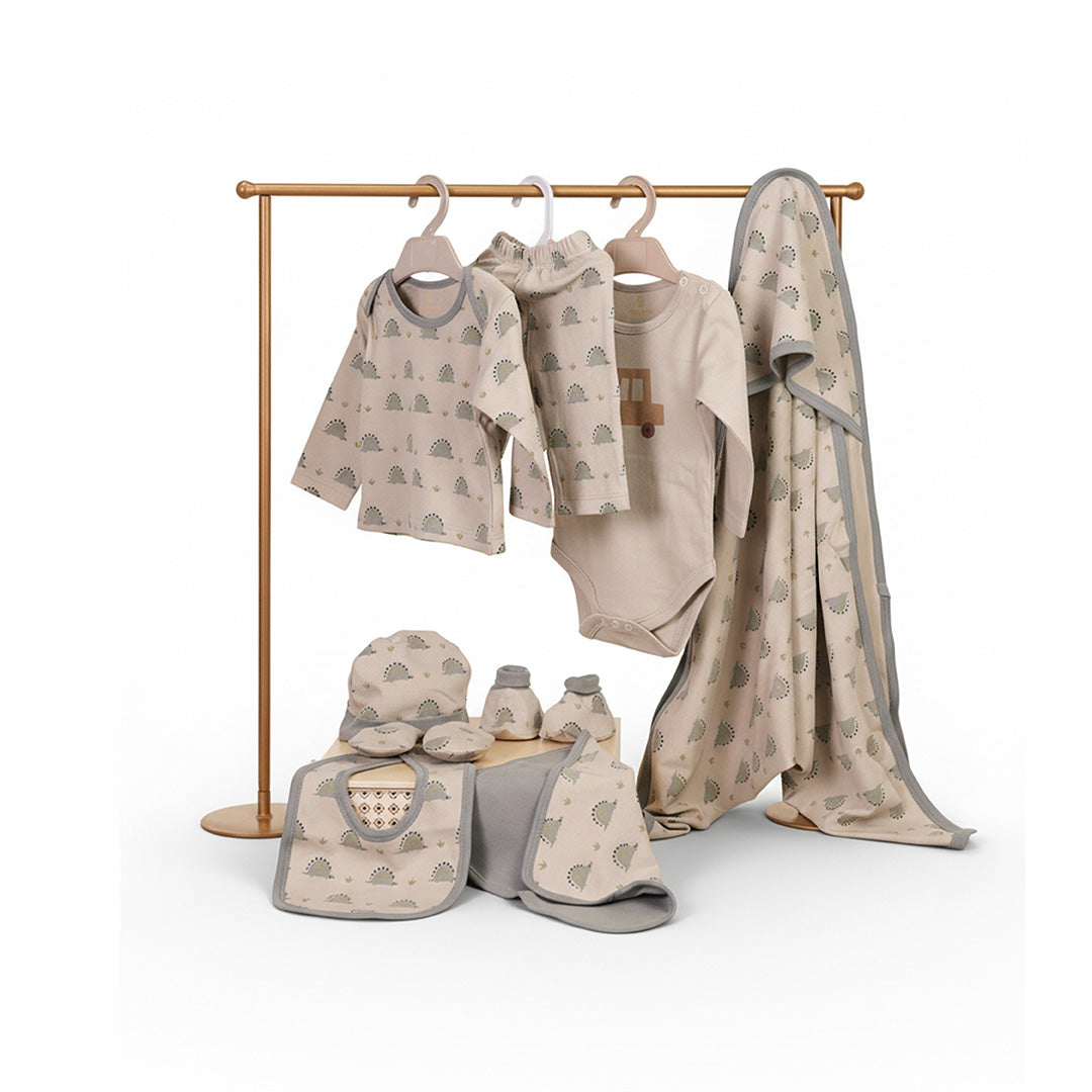Newborn Gift Set - Dino Print