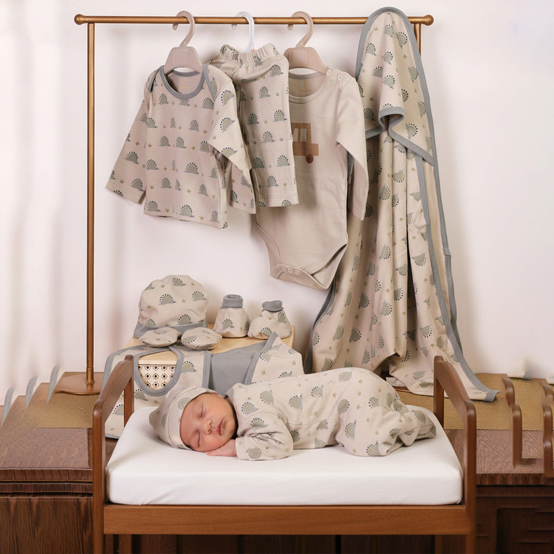 Newborn Gift Set - Dino Print