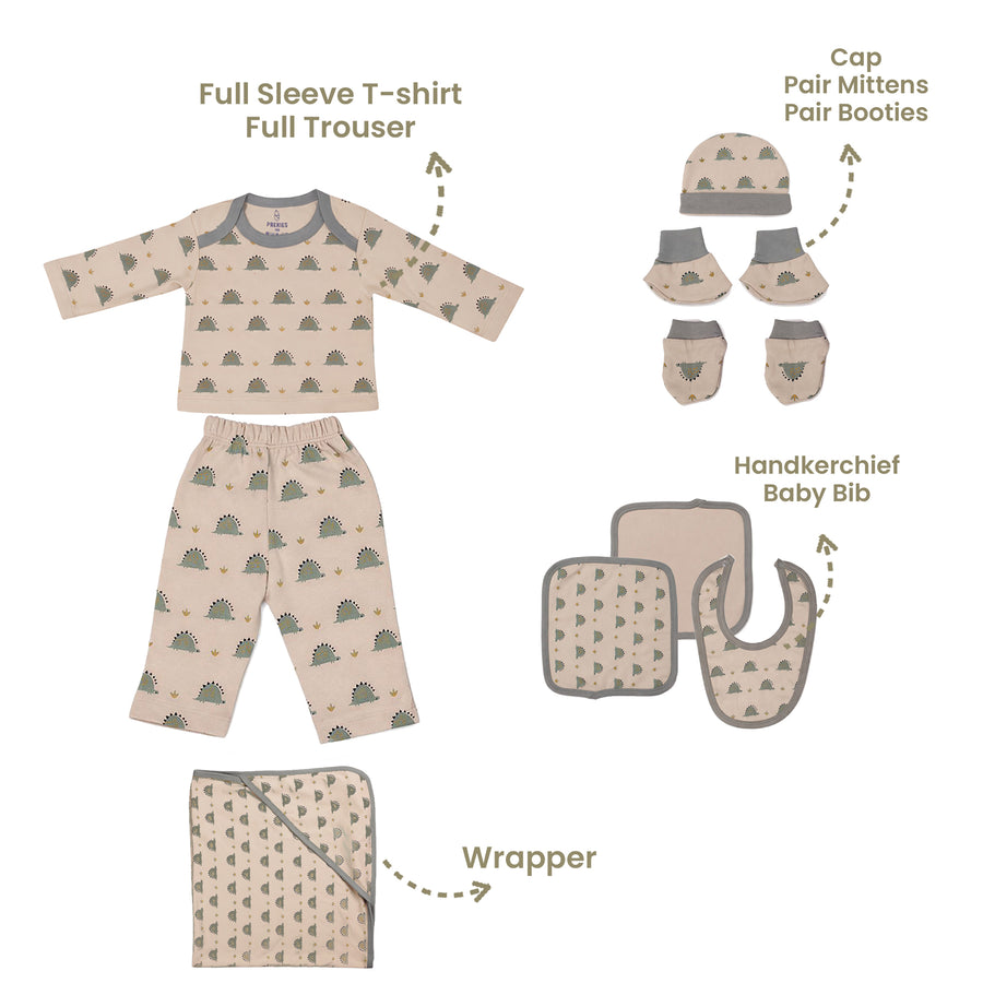 Newborn Gift Set - Dino Print