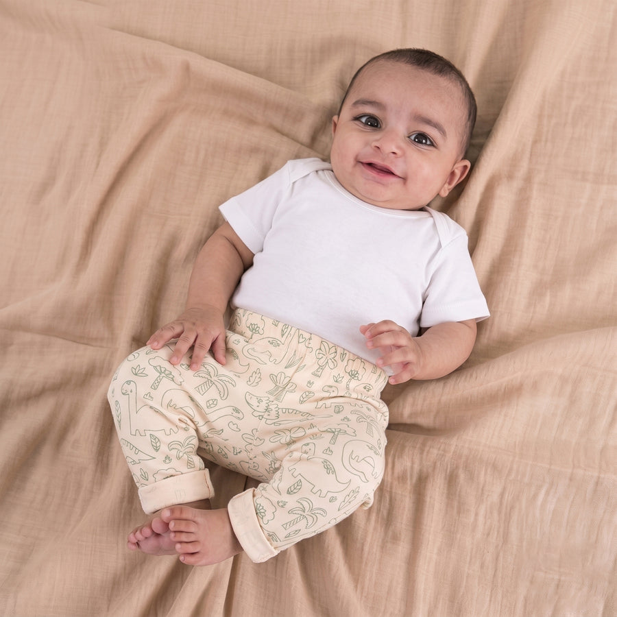 Set of 3 Pyjamas - Dino Print (Green & Blue)