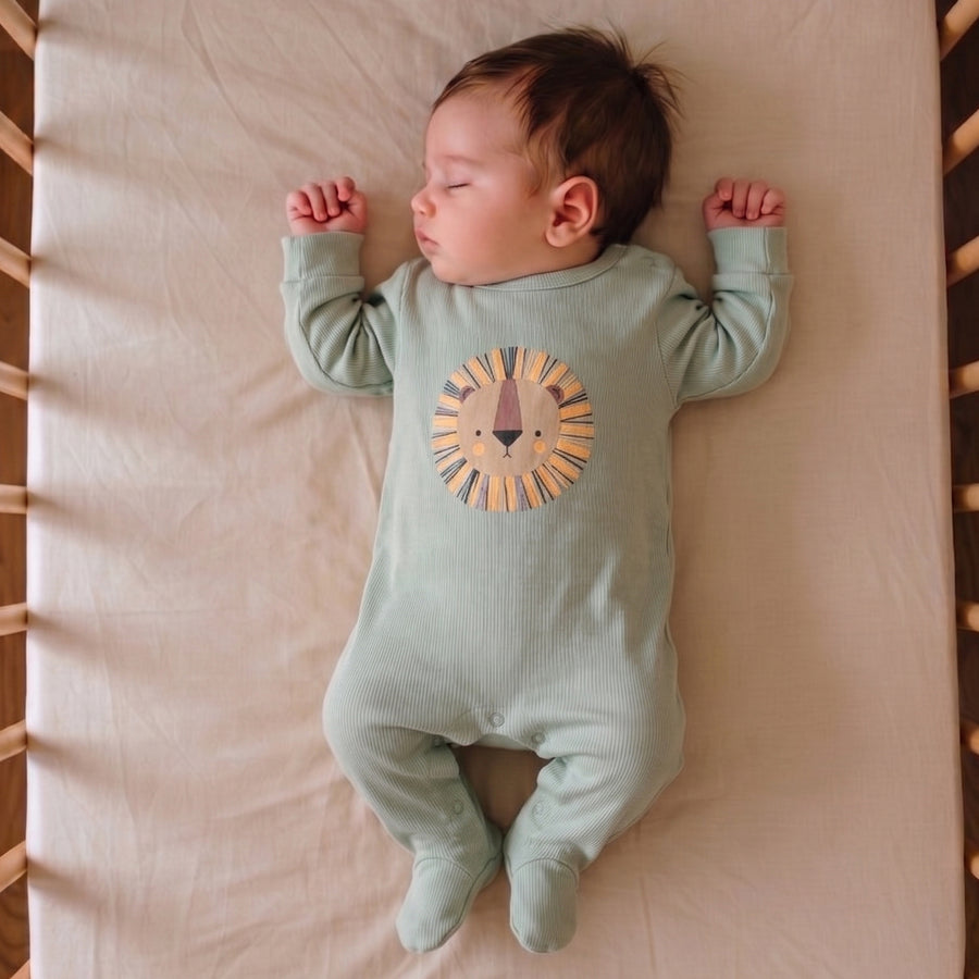 Romper Set - Lion Print Pack of 3