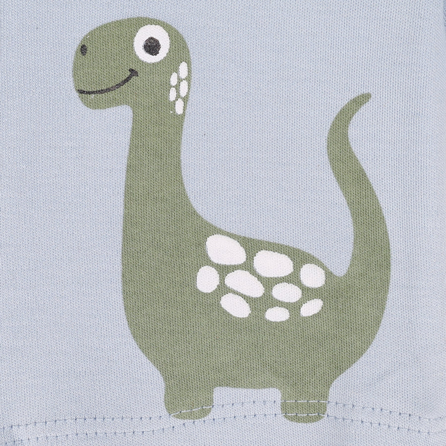 Set of 3 Jhablas - Dino Print (Green & Blue)