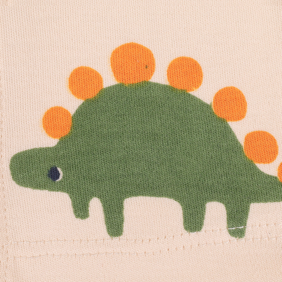 Set of 3 Jhablas - Dino Print (Green & Blue)