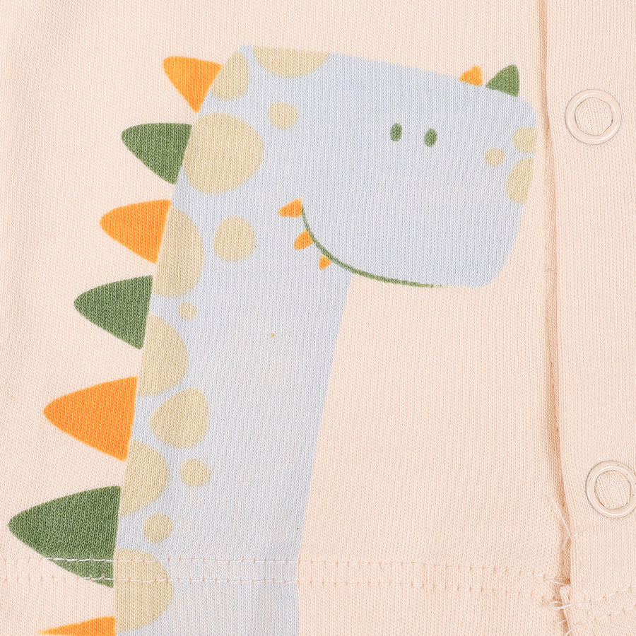 Set of 3 Jhablas - Dino Print (Green & Blue)