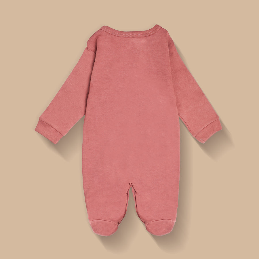 Romper Set - Teddy Print Pack of 3