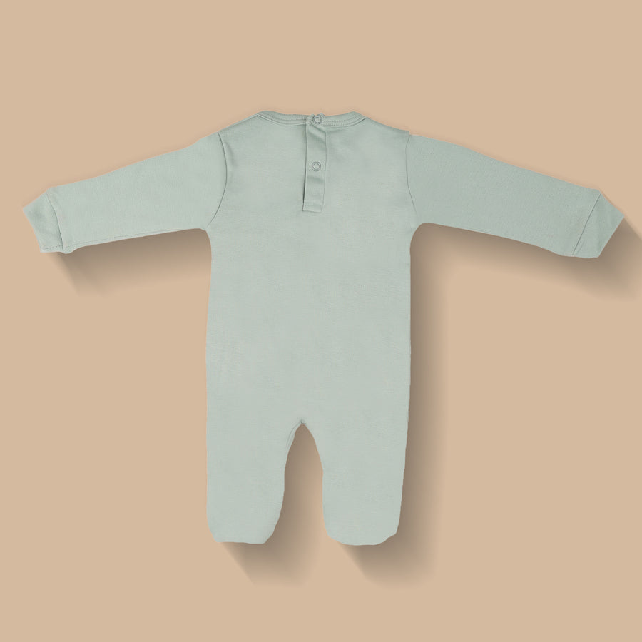 Romper Set - Lion Print Pack of 3