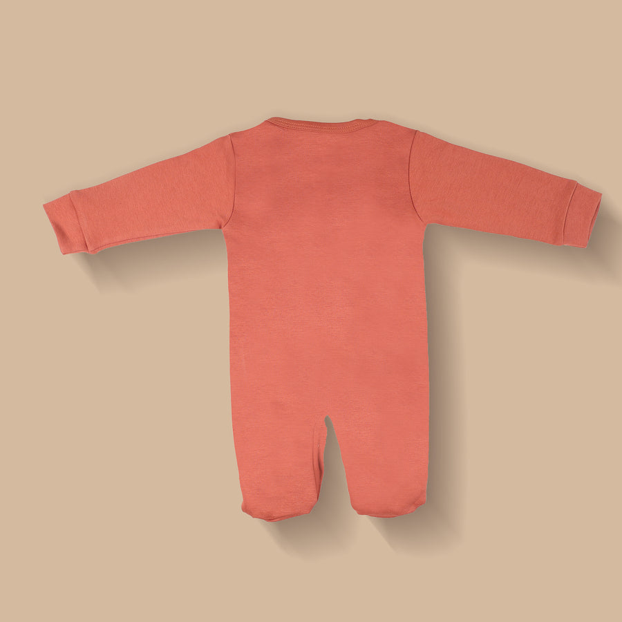 Romper Set - Lion Print Pack of 3