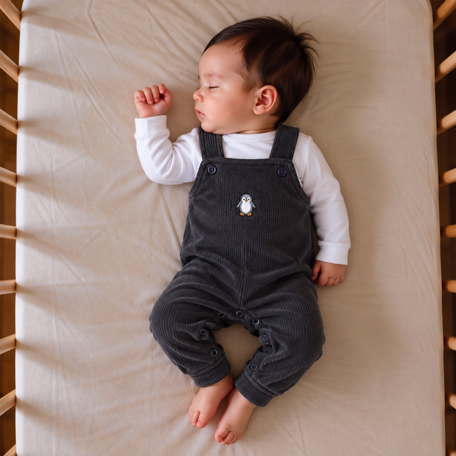 Winter Dungaree Set - Penguin Print
