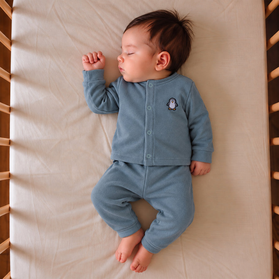 Winter Set & Suit - Penguin Print