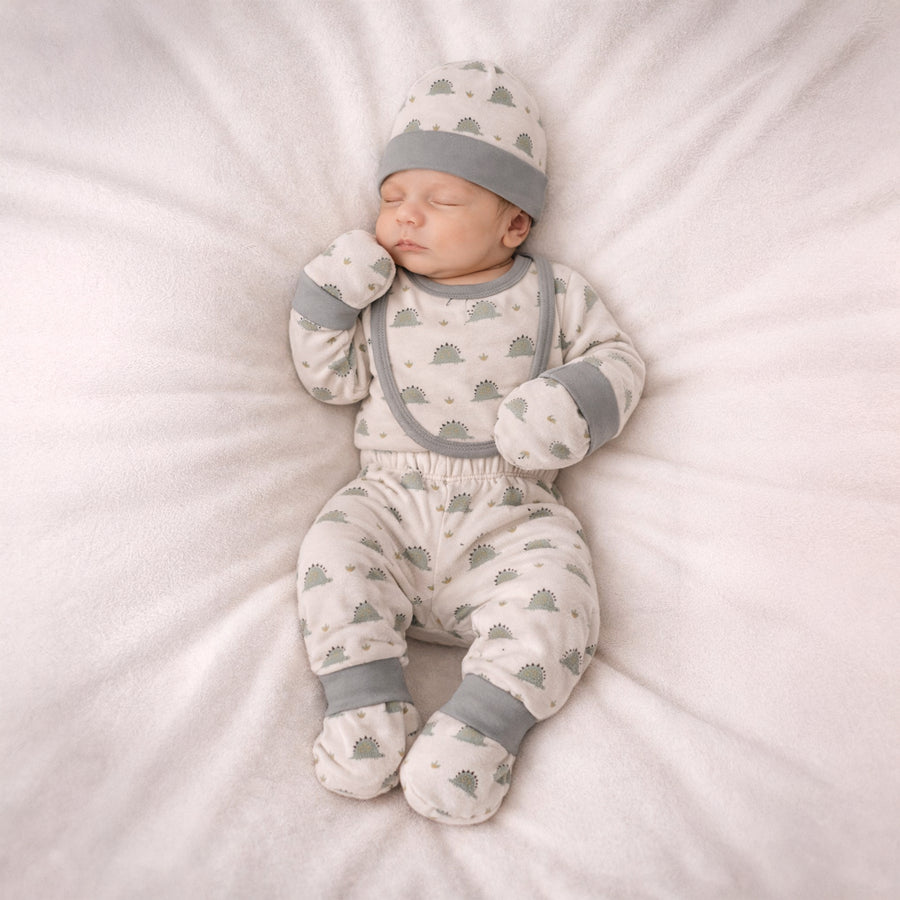 Newborn Gift Set - Dino Print
