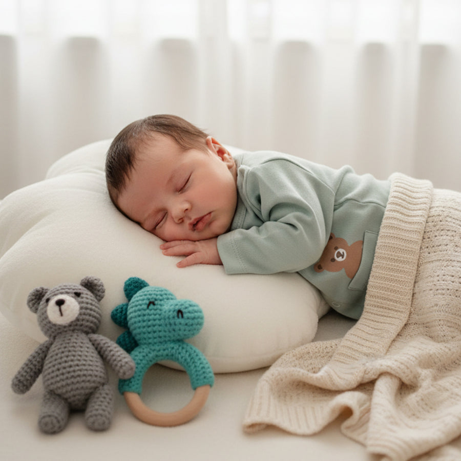 Set of 3 Jhablas - Bear Print (Brown & Blue)