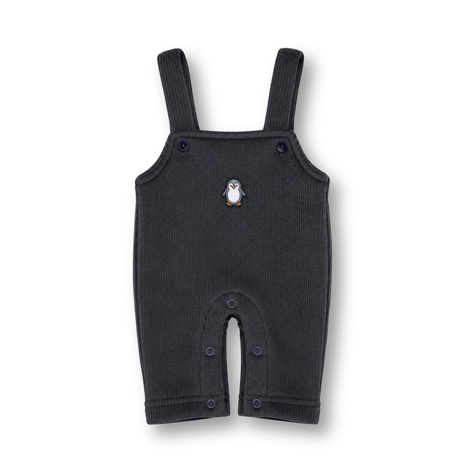 Winter Dungaree Set - Penguin Print