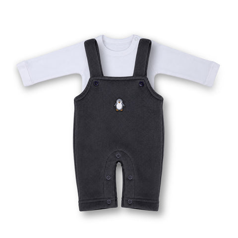 Winter Dungaree Set - Penguin Print