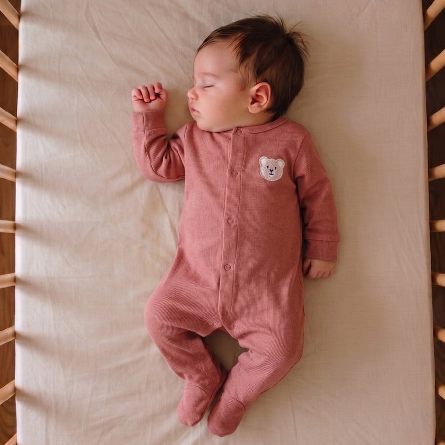 Romper Set - Teddy Print Pack of 3
