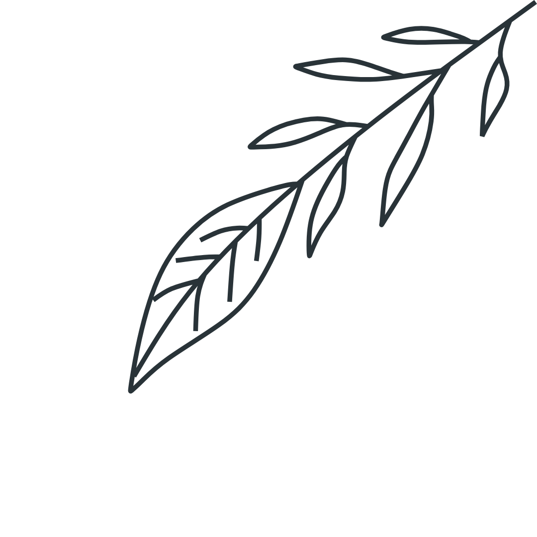 Bottom illustration
